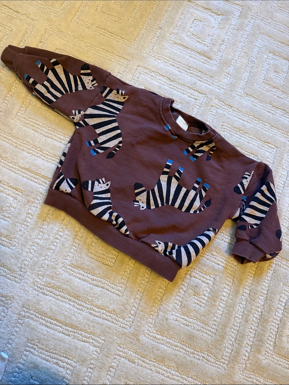 Zara Brown Sweatshirt with Zebra Print